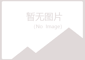 南城县曼山会计有限公司